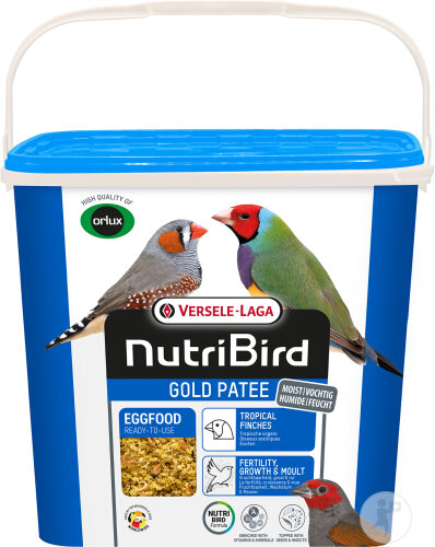 PATEE SECHE EXOTIQUE