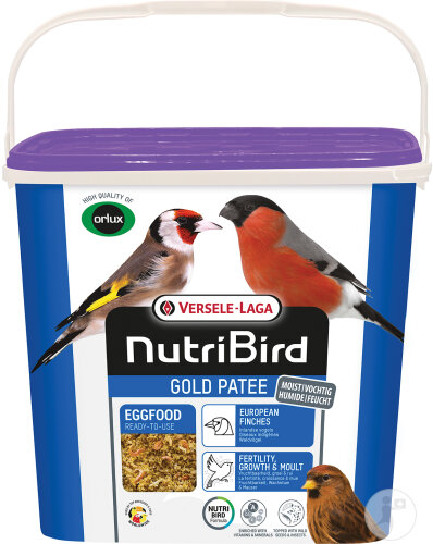 PATEE GOLD OISEAUX INDIGENES