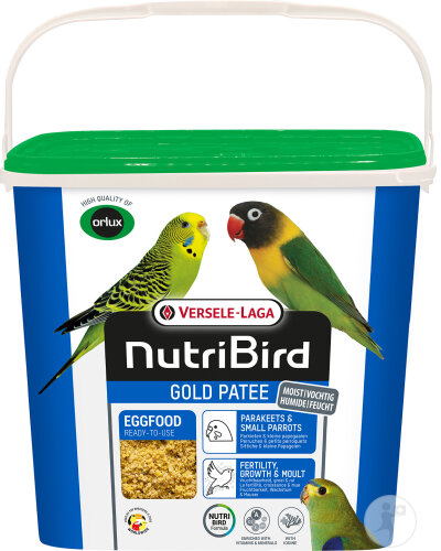 PATEE GOLD PERRUCHES