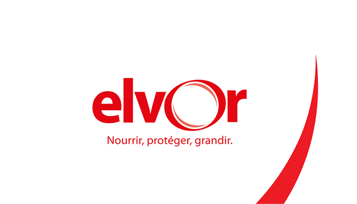 logo elvor