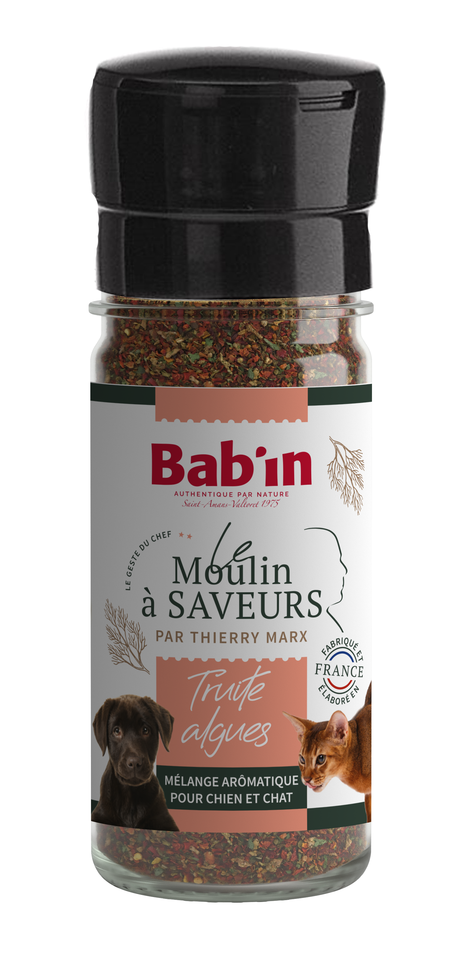 MOULIN A SAVEURS TRUITE/ALGUES